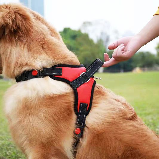 Anti-Choke Dog Harness